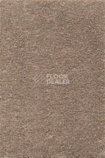 Ковролин AW Promenade 34 фото 1 | FLOORDEALER